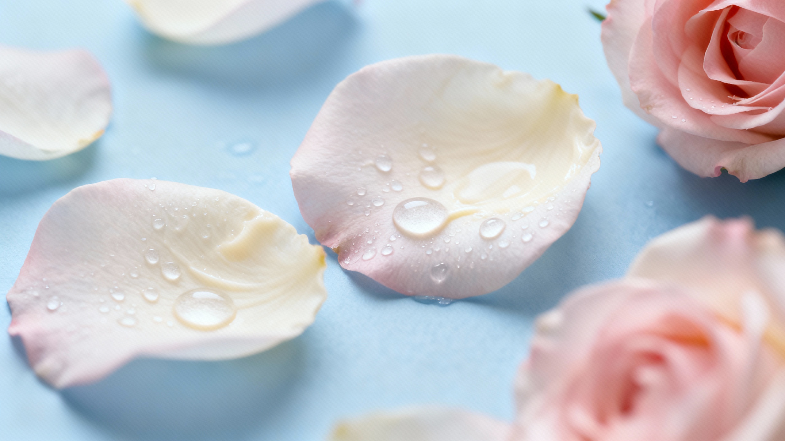 Featured image for Soothing the Flames: Effective Strategies for Managing Rosacea-Related Dryness